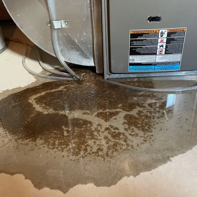 Pipe Burst and Leak Restoration in Yorktown, IN