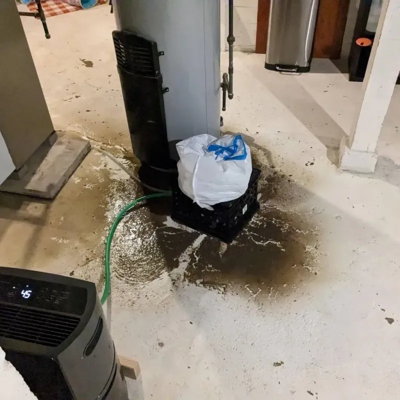 Sewage Backup Cleanup Service in Yorktown, IN
